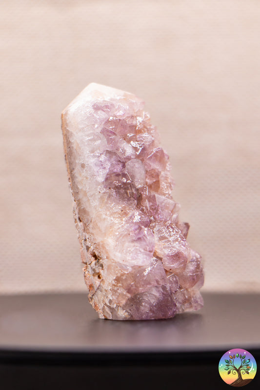 Améthyste - Pointe Semi-Polie