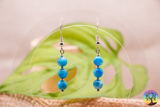 Apatite Bleue - Boucles d'Oreilles - 6 mm