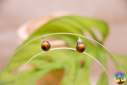 Œil de Tigre - Boucles d'Oreilles - Puces 6 mm