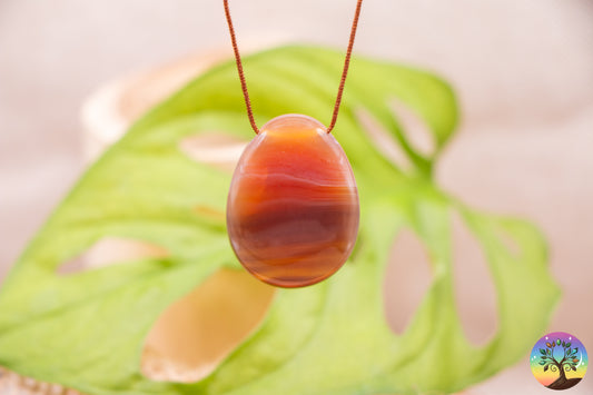 Cornaline - Pendentif - Pierre Percée