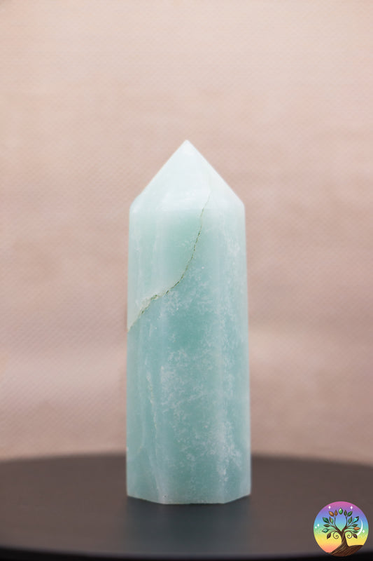 Amazonite Multicolore - Pointe Polie