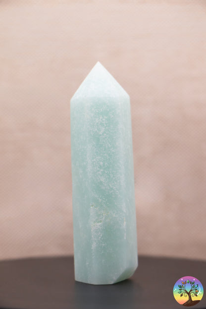 Amazonite Multicolore - Pointe Polie