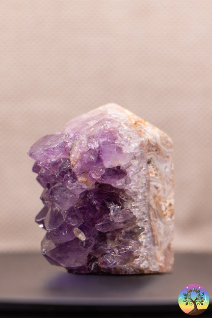 Améthyste - Pointe Semi-Polie